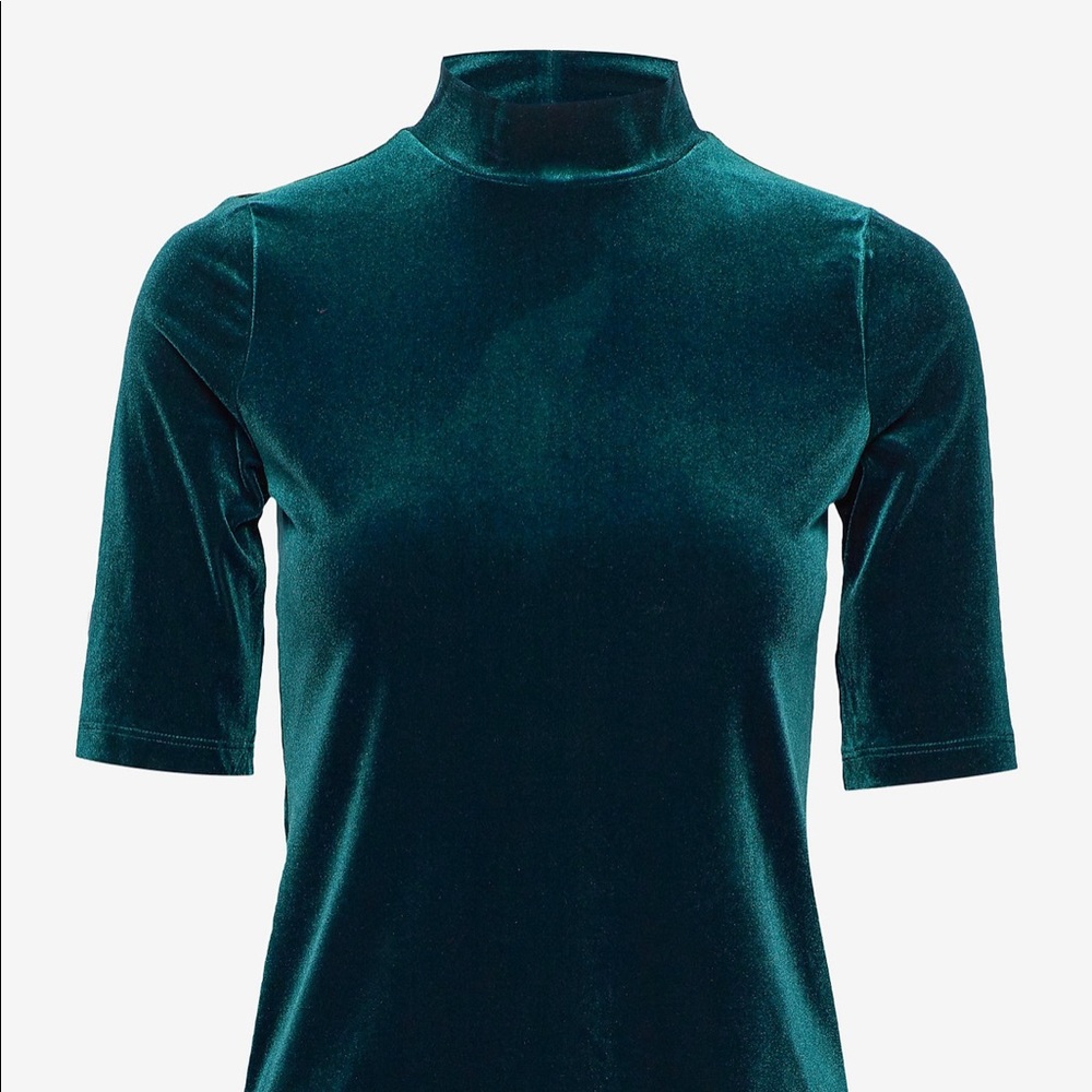 Banana Republic Velvet Mock Turtleneck